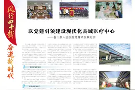 风行四十载 奋进新时代｜以党建引领建设现代化县域医疗中心——鲁山县人民医院跨越式发展纪实图片