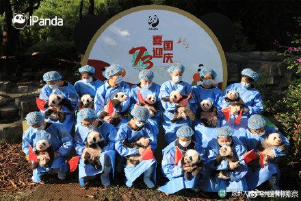 萌翻天！2022级熊猫幼崽亮相啦