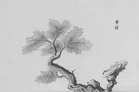 以檀为姓，香飘古今图片