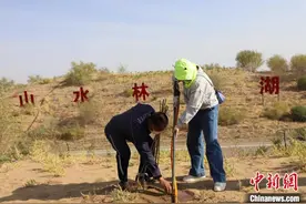 6年种树2亿棵 6.5亿网民助内蒙古沙海“披绿添金”图片