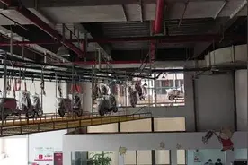 6.3小时一辆车 立马车业超级工厂彰显强大“智造”能力图片