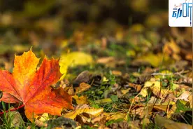 夜读丨所有的美好，都不负遇见图片