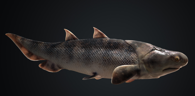 "从鱼到人"有了关键证据_奇趣发现 - mc世界之最