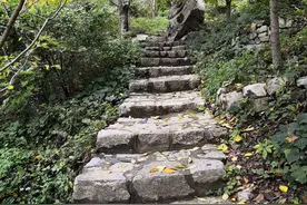 秋游淄博齐山图片