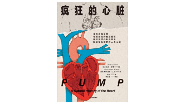 中信银行信用卡申请进度查询中心，古代到中世纪期间,人与人的关系