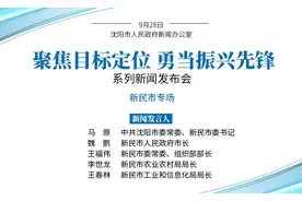 沈阳新民市：打造实施乡村振兴战略示范市图片
