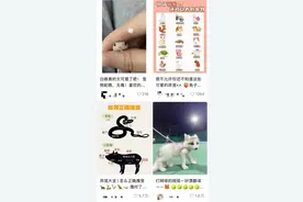 女孩网购毒蛇当宠物，一个月后毒发身亡图片