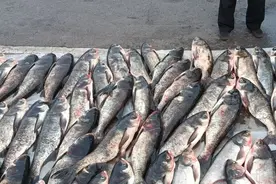 水库鱼、豆腐宴，长假贴秋膘务必先看看这份京郊美食攻略图片