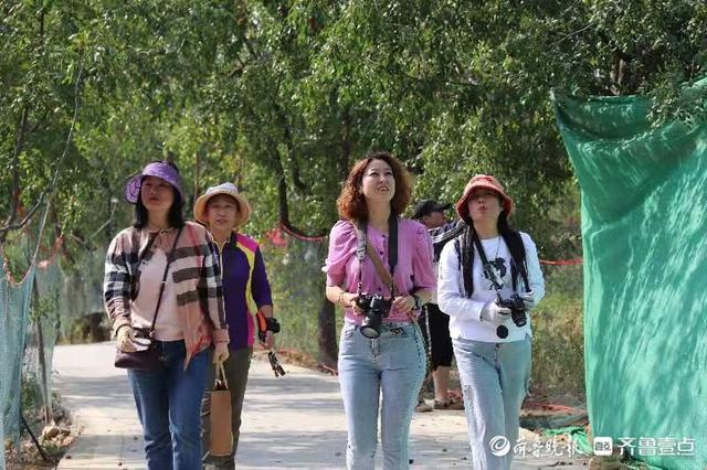 ��������������ʯ��չ��Ӱ�ɷ�