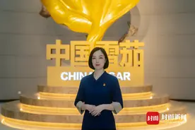 “80后卷制大师”李秋月：灵巧指尖演绎雪茄文化丨我是党代表图片