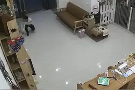 男孩放走宠物店价值2万元宠物猫，家长：愿承担一半责任图片