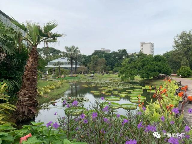 强烈推荐！广州天河国庆假期11个必去打卡点，走起