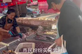 逛市场（视频）|海肠大量上市卖出“白菜价”图片