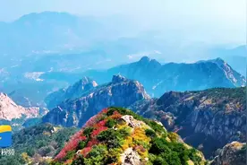 秋日泰山层林浸染 五彩斑斓迎客来图片