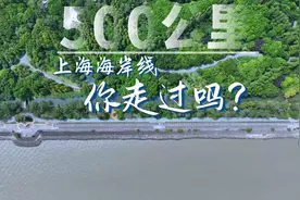 上海这500公里海岸线 你走过吗？图片