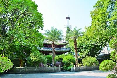 绍兴清香酒网站建设（酒罐商标揭秘800多年前南海Ⅰ号来过广州）