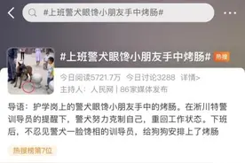 上班警犬想吃烤肠？网友：它是巴万啊图片