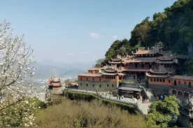 闽南人多奉一尊神，像城市多种一棵树图片