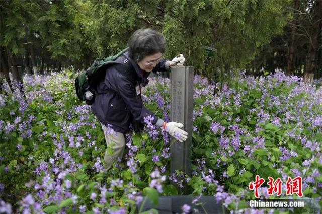 东西问丨马场公彦：中日两国何以同尊“以和为贵”？
