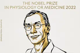 透过基因发现人类进化之谜！研究人类起源的瑞典科学家斩获诺贝尔生理学或医学奖图片