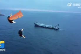 “网”后“鱼”生都是你！挪威三文鱼在中国生活得很开心图片