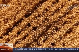 中国故事｜风雨好收成图片