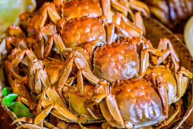 ������չ�ݡ����׹�𳵡�����ɫ��ʳ......ʯ�������˷��죡