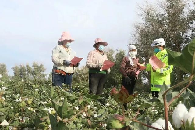 ���ݹ�������������չ��һ��һ�������⽻ͨ��ȫ�����