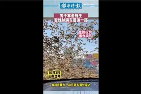 男子拿走蜂王被蜂群追一路，车窗爬满蜜蜂让人害怕图片