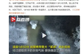 1岁半警犬“莱德”凌晨搜寻救回2岁男孩图片