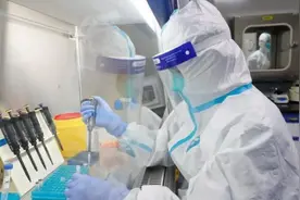 自驾进京也要及时报备！疫情防线不容丝毫疏忽图片