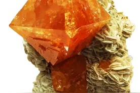 大自然的橙色诱惑图片