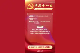 中共十一大：宣告“文化大革命”结束图片