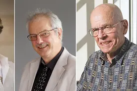 诺奖解读｜始于有机合成的点击化学，如何走向了细胞和癌症治疗图片