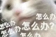 警营汪汪队丨1岁半警犬救回2岁男童图片