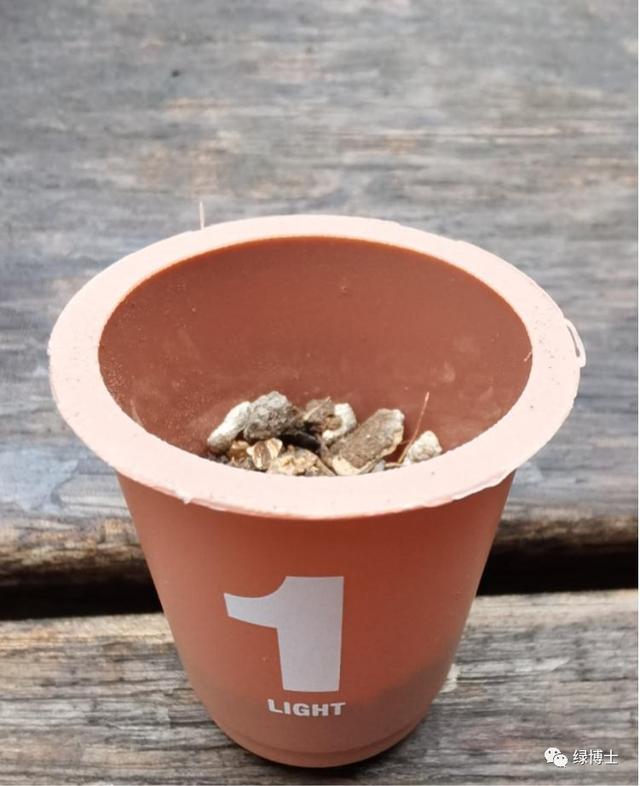 这些秋播的草本开花植物，你认识吗？