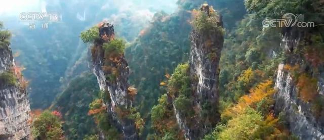 ��ɫ����ʱ �����Ƴ��ḻ�����ɫ�