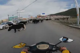 微纪录｜我在色达送外卖图片