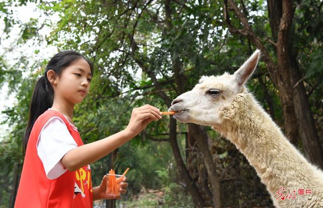 ��ʻ������������