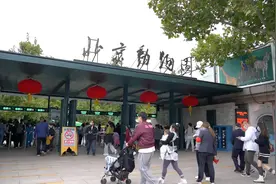 北京旅游警察带你打卡热门景区｜第三站：北京动物园