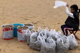 海鲜自由？海滩退潮后现大量海鲜，有人捡了30斤虾……图片