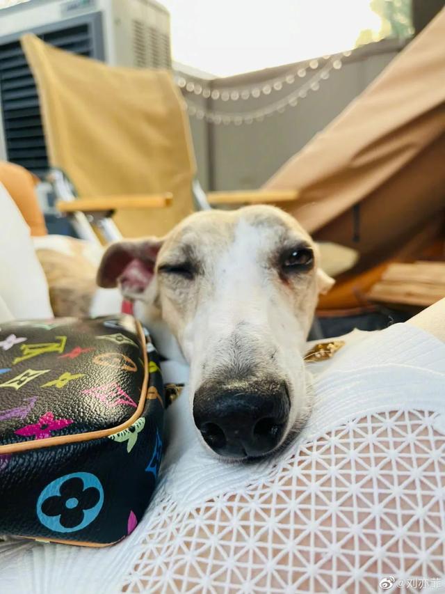 OMG��Ů�����ǵļ��ھŹ���¶Ӫ����