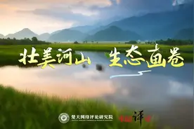 「壮美河山生态画卷②」东湖评论：努力绘就新时代人与自然和谐共生的壮美画卷图片