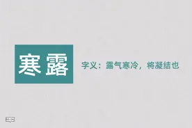 寒露，玉露凋份枫树林图片
