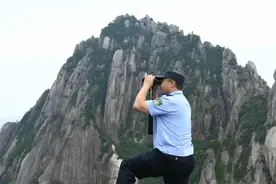 山河有我｜黄山守松人胡晓春：没有感情投入就守护不好迎客松图片