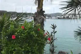 澳洲8月对华进口破百亿澳元 超过日美英进口总和图片