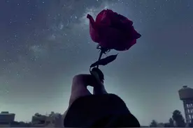 愿我如星君如月——《车遥遥》赏析图片