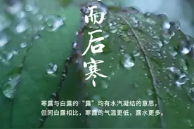 节令之美·寒露丨寒露至 话“寒露”图片
