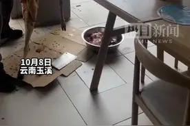 阿拉斯加犬目睹老板剔羊肉吓得直打颤，主人：它以为在杀狗图片