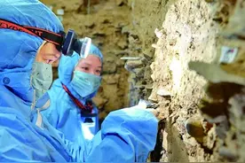 这十年，我们迈向考古强国的足迹图片